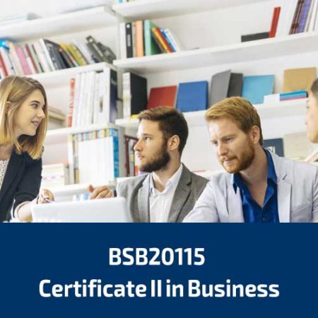 BSB20115 Certificate II in Business